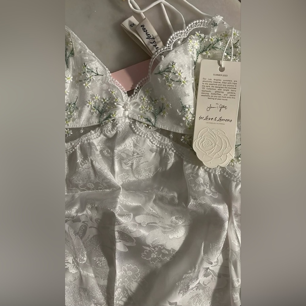 For Love And Lemons baby's breath slip dress - Picture 8 of 15
